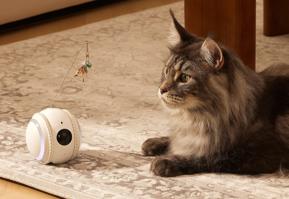 best indoor camera for pets