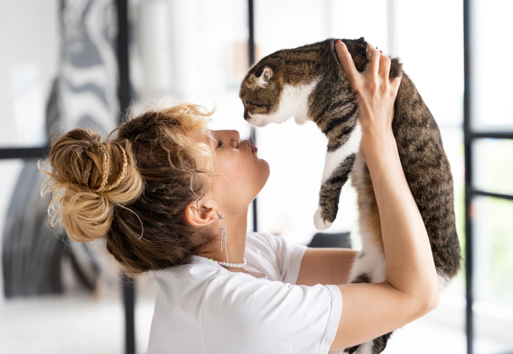 camera to watch pets at home