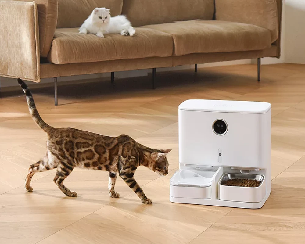 automatic cat feeder pets at home