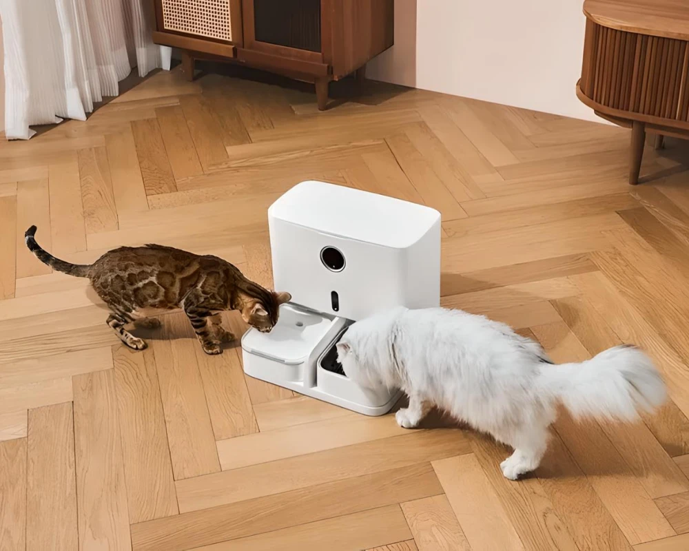 automatic pet feeder and water dispenser